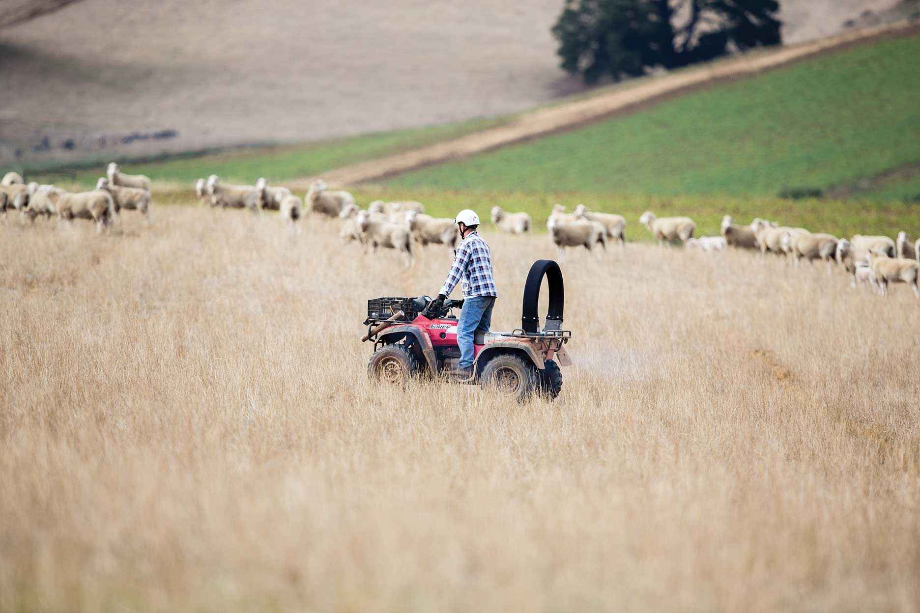 A quad bike user wearing a helmet on a bike that has been fitted with an operator protective device.