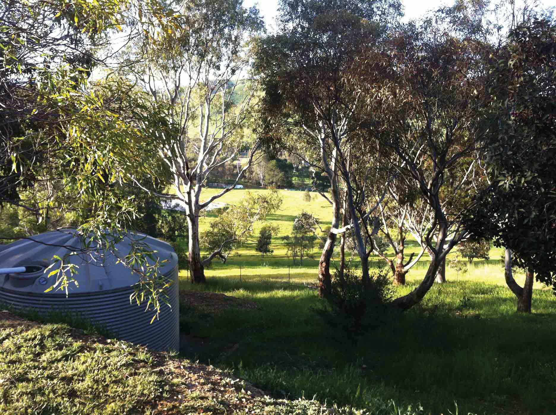 The view from the mud brick house on our property at Bonnie Doon. Working on the land has given us feelings of satisfaction, pride and achievement.