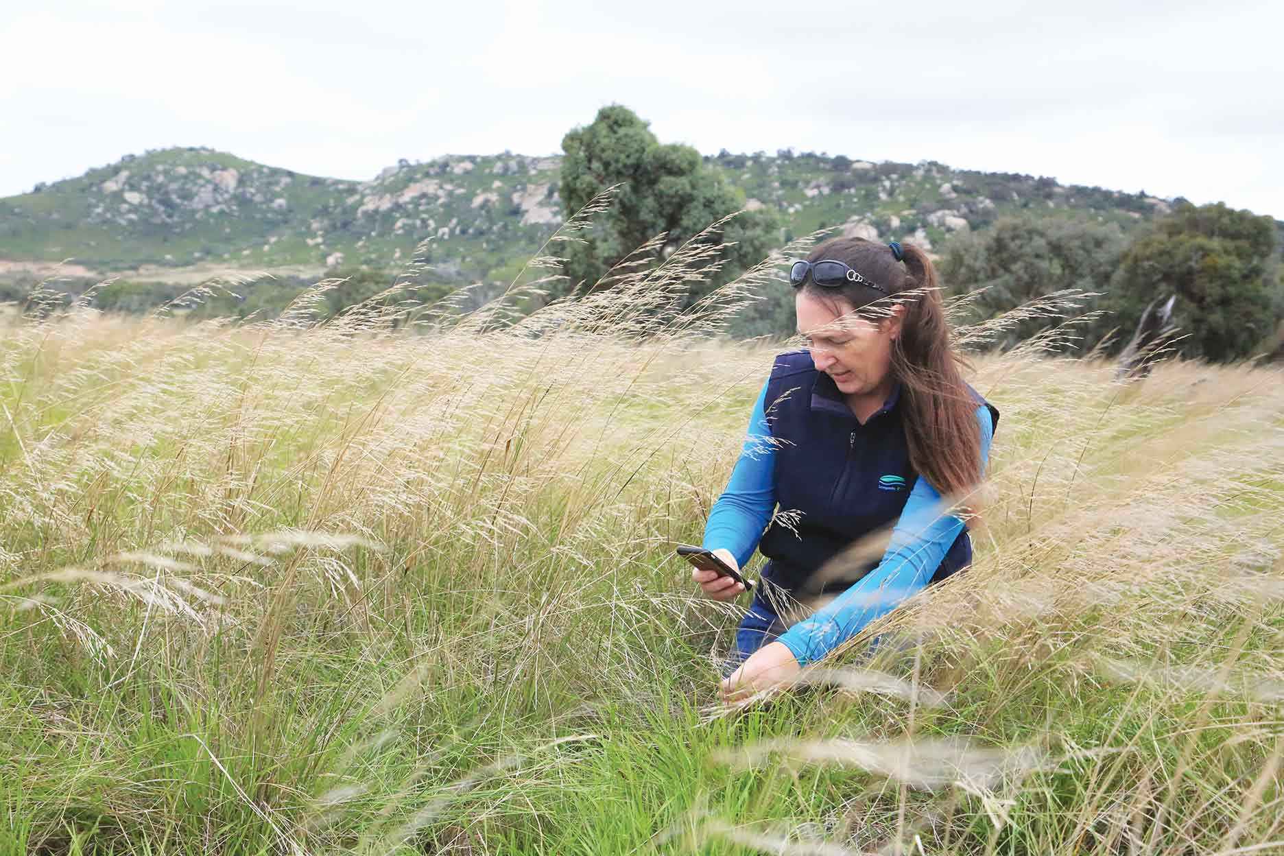 Karen O’Keefe using the VBA Go mobile app in the field at Mt Rothwell Biodiversity Centre. 