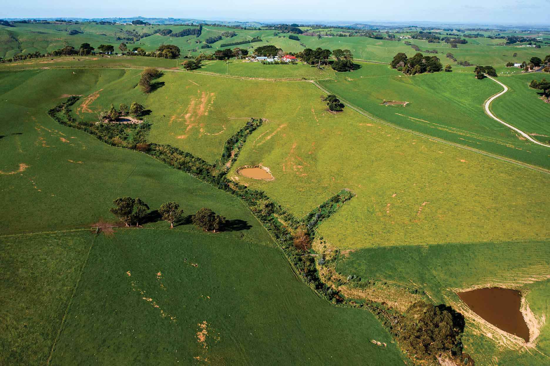 An aerial view of the wildlife corridors being established along tributaries of Archies Creek.