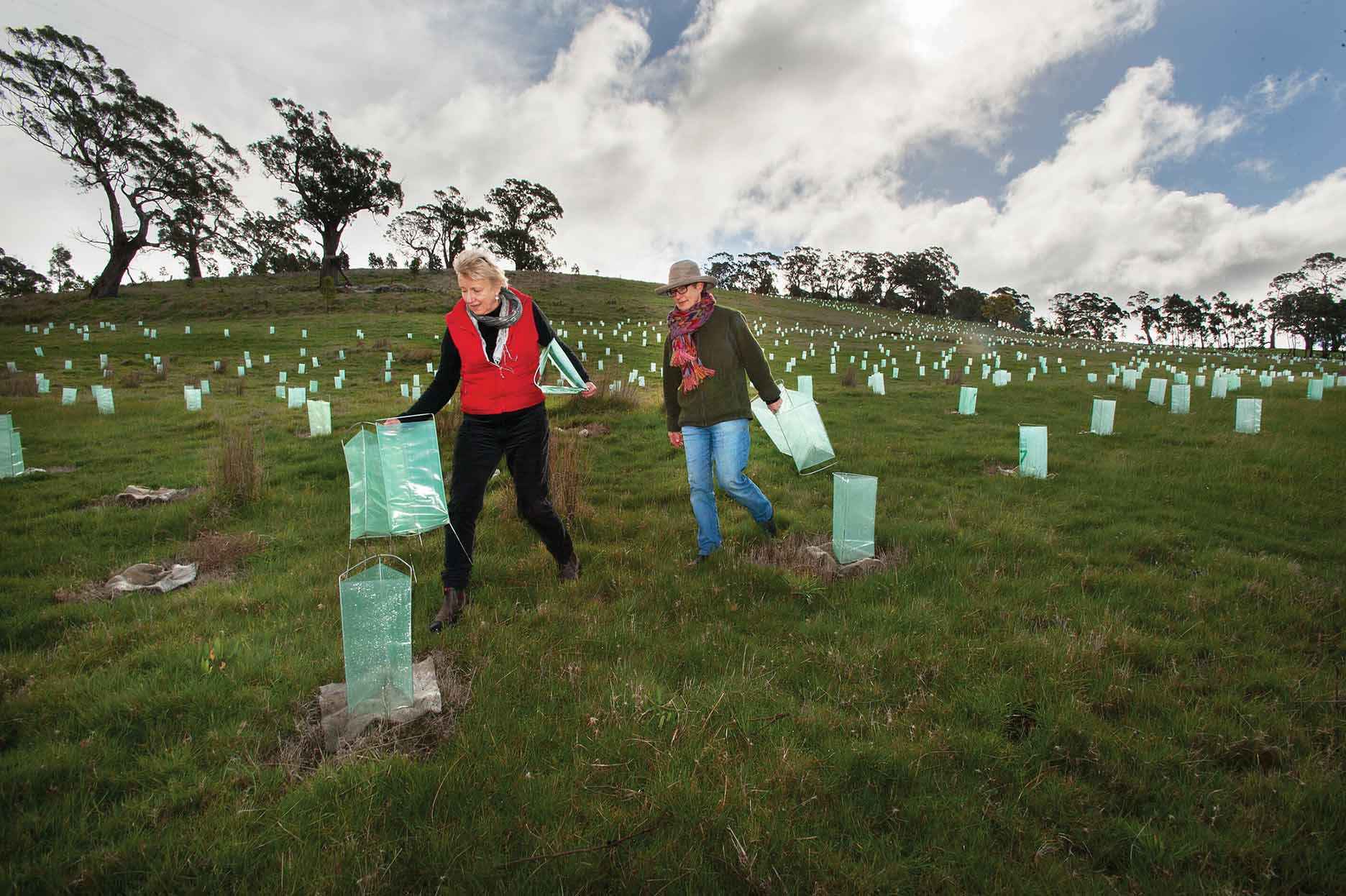 Jenny Waugh (left) and Penny Roberts distributing tree guards along the Cobaw Biolink.