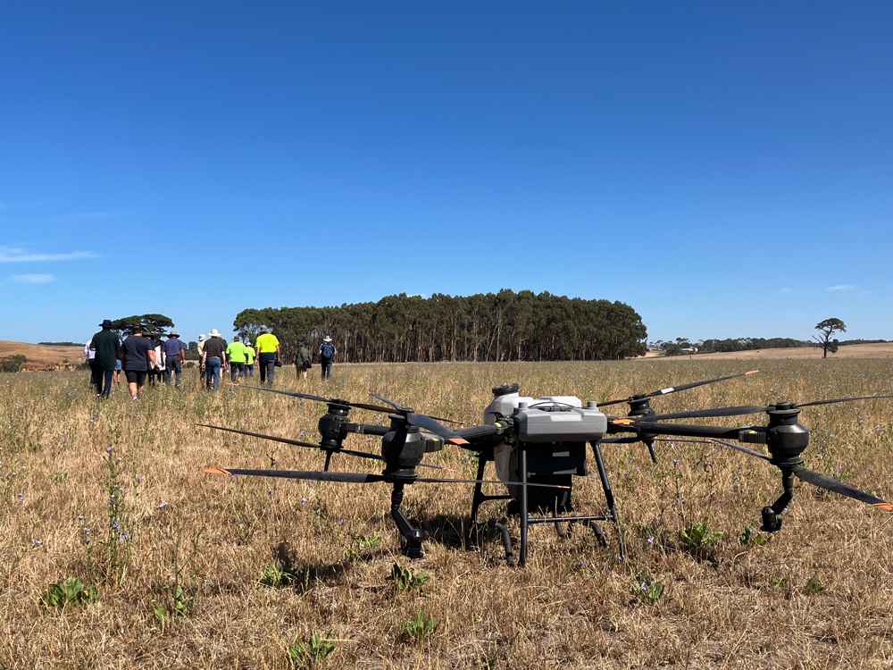 Drones were used to map the location of gorse infestations.