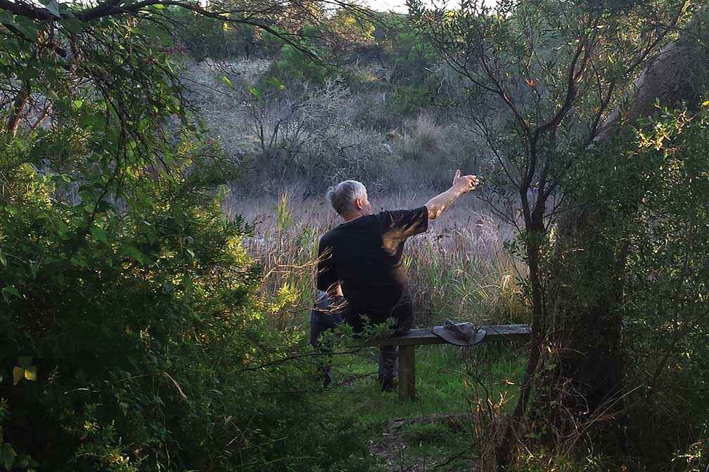 A sit spot exercise during a forest therapy walk at Coolart Wetlands and Homestead, February 2017.