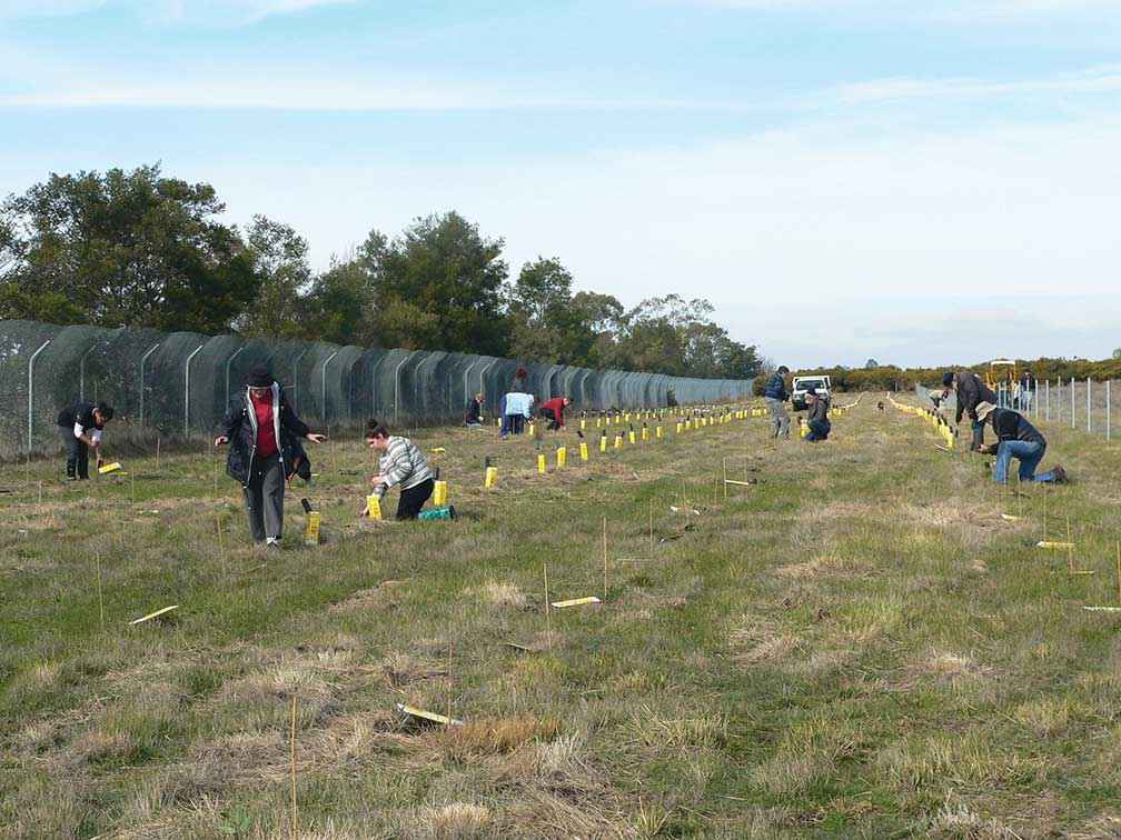 A MDLG planting event at the property of Fred and Alison Baynes near Malmsbury in 2018.
