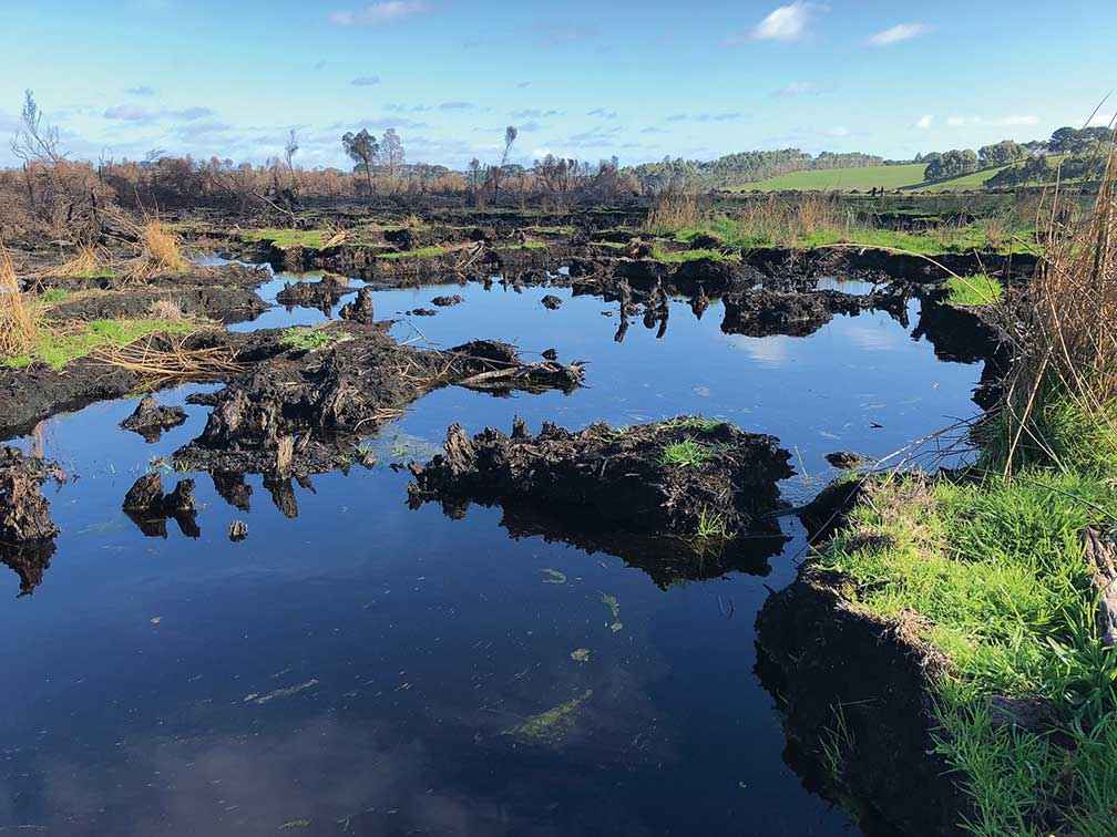 Exposed water in the peat swamp shows the extent of the fire damage at Lake Cobrico.