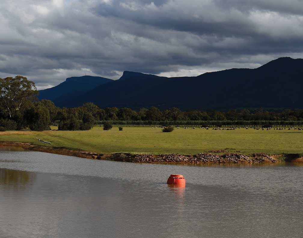The dam at Red Rock Olives is fitted with a solar powered pump.