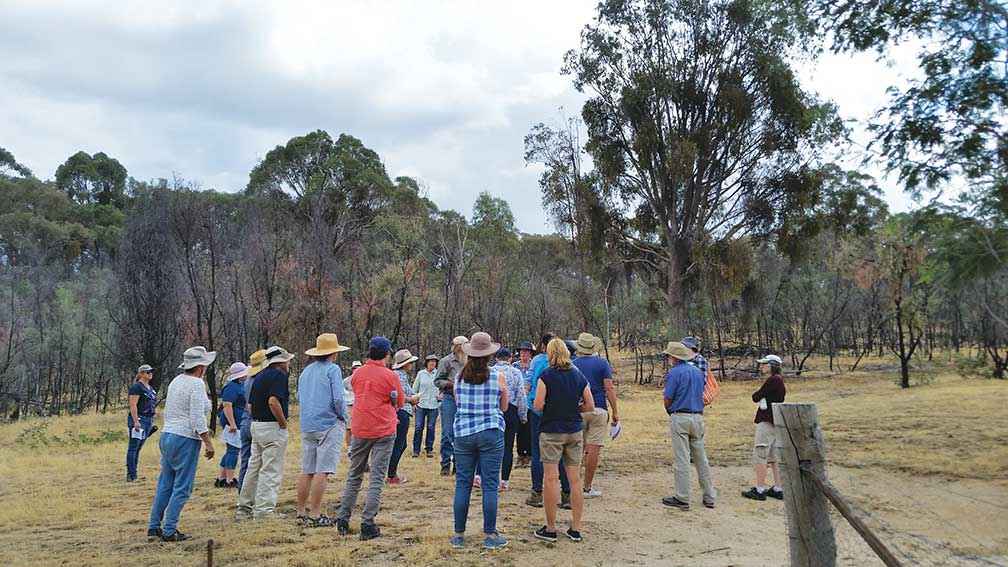 The last Healthy Hectares workshop in July 2020 before COVID-19 restrictions.