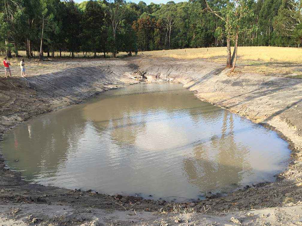 The dam at Barangarook Pork in 2017 before installation of the filter and revegetation.