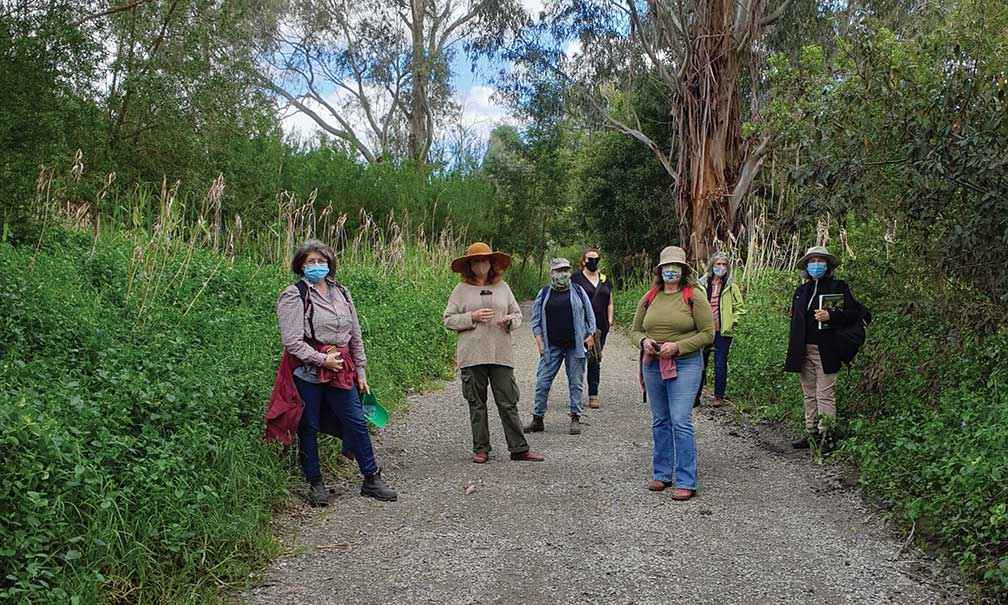 A field identification day on unburnt Bruthen walking trails in the morning.  