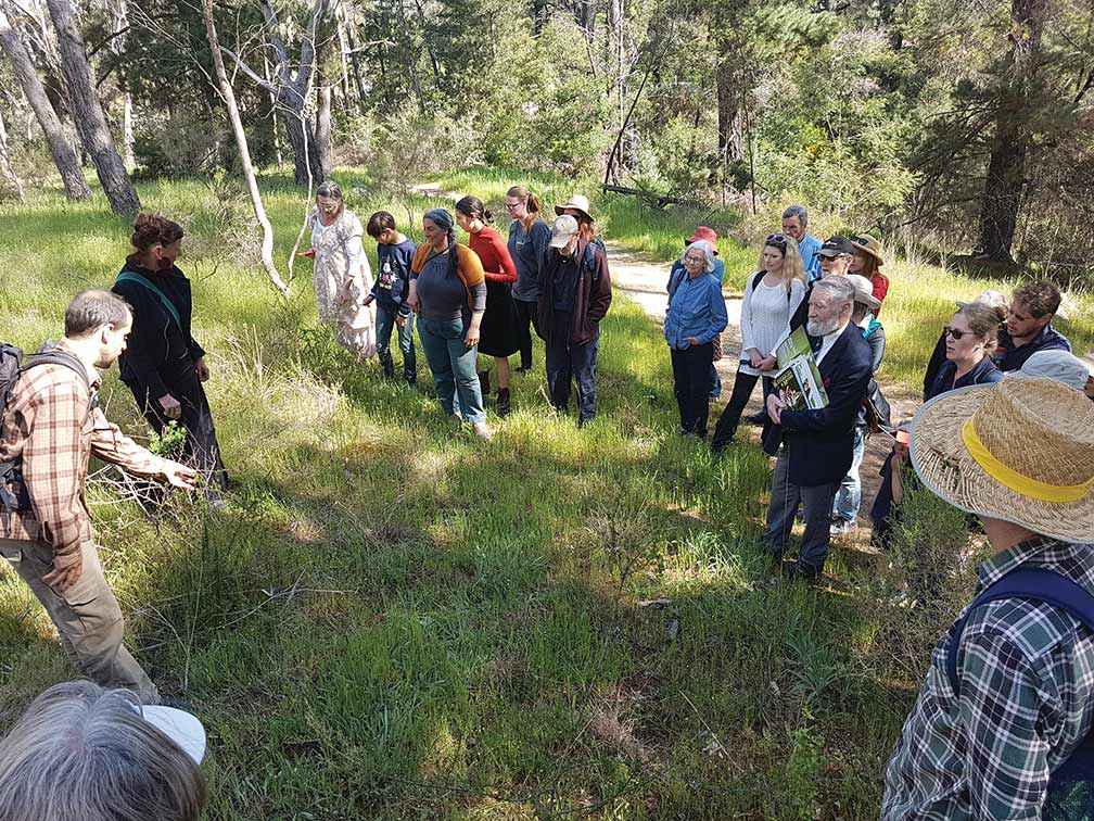 From left, Karl Just and Elaine Bayes at an education day on sweet bursaria and the Eltham copper butterfly at Kalimna Park, Castlemaine in November 2019.
