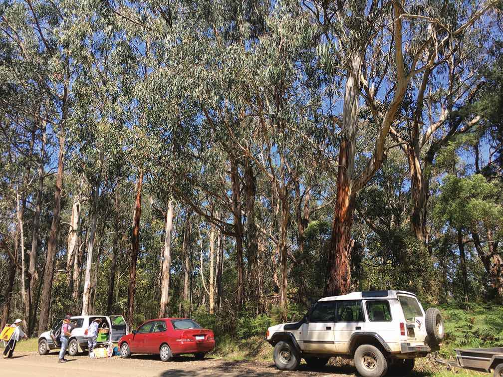 Choosing a site on a quiet road with enough room to park is a consideration when <br />
planning a working bee.<br />
