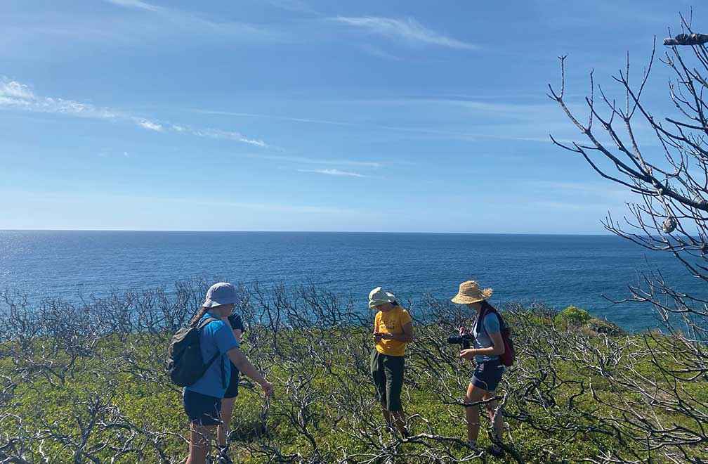 Using mobiles in the field at Croajingolong National Park on Bidawal Country.