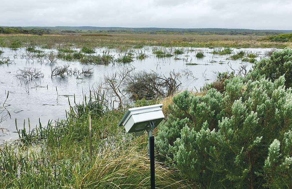A listening post established by volunteers to monitor the unique soundscape of Long Swamp, <br />
near the mouth of the Glenelg River in Victoria. <br />
