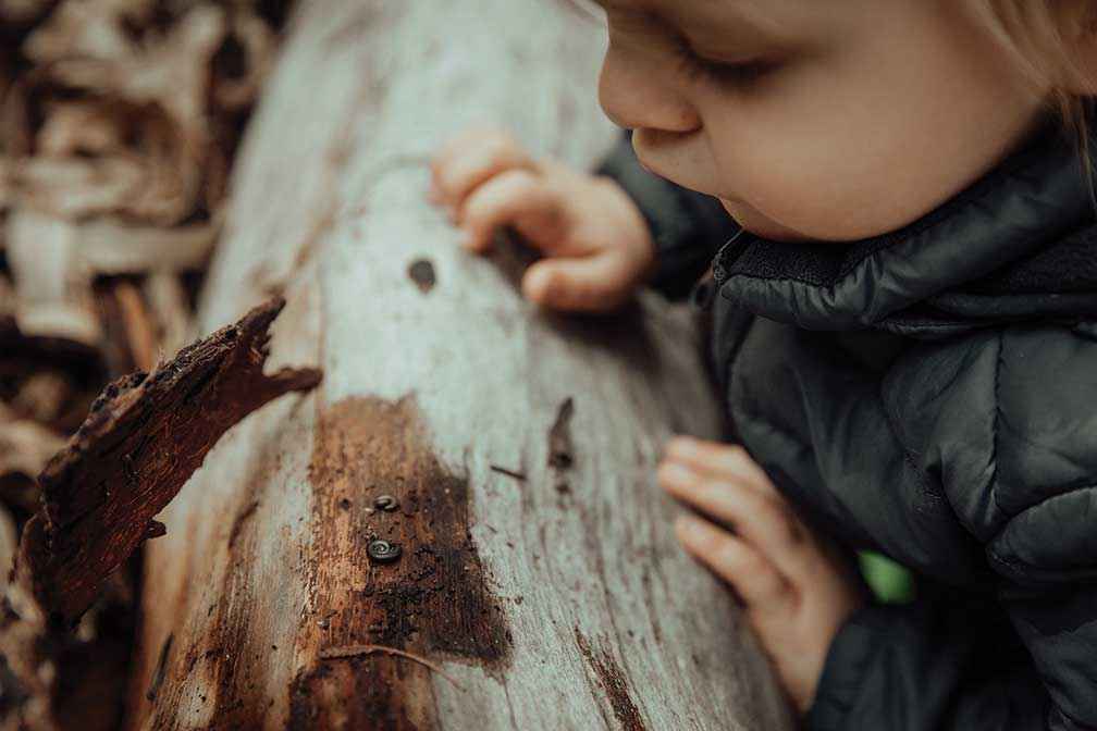 It’s amazing what you can discover under a strip of bark.