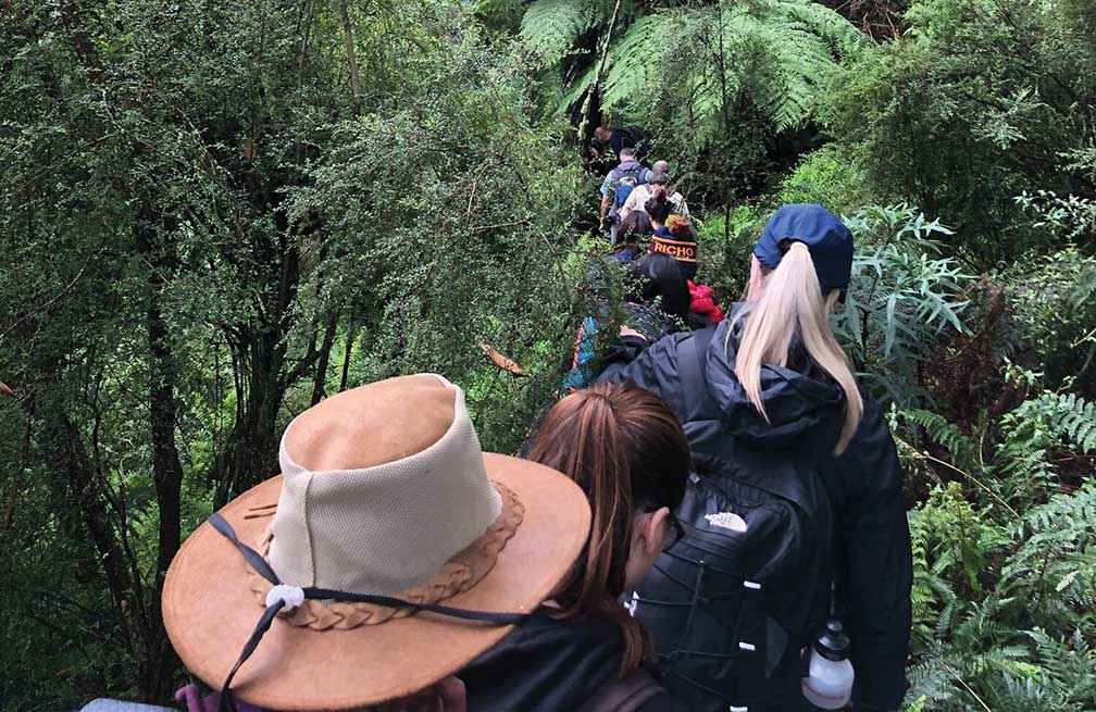 Heading through the Strzelecki Forest above Trafalgar to find presence of deer and install camera traps.