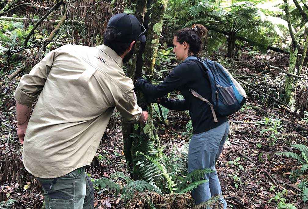 Brad Blake explains the best location to install camera traps to record footage of deer.