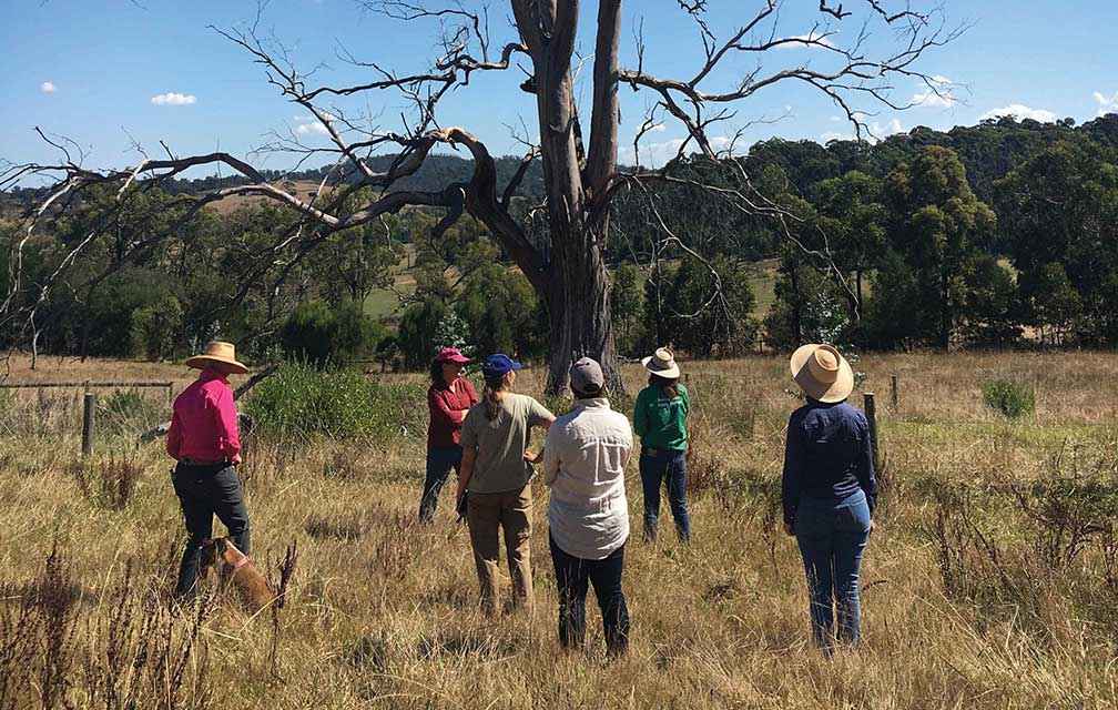 Horse keepers value the importance of multi-species pasture.