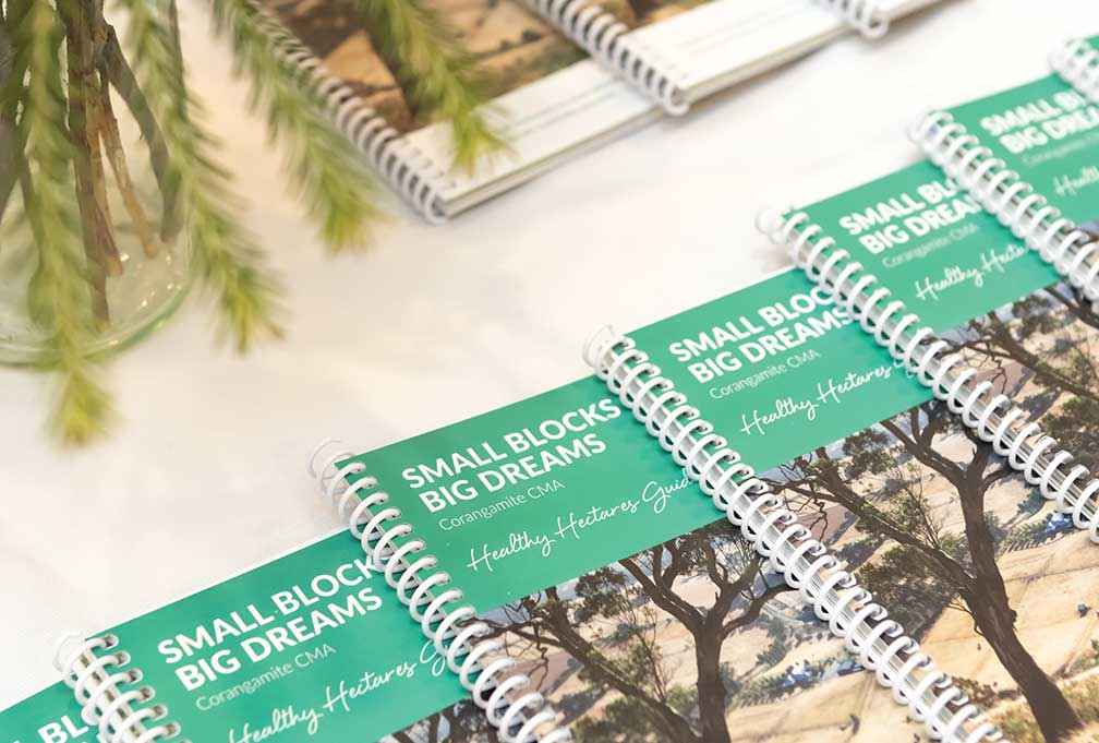 The Small Blocks Big Dreams Healthy Hectares Guide.