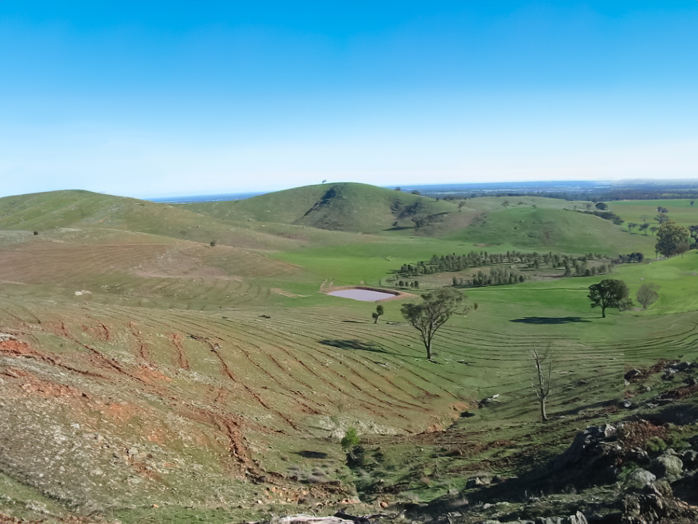 Before and after: Tens of thousands of trees have been planted at Glendhu Station since the 1990s