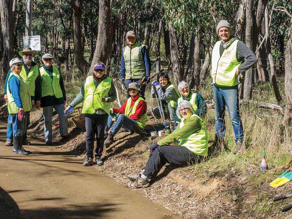 Morning tea time during a roadside working bee in 2017. 