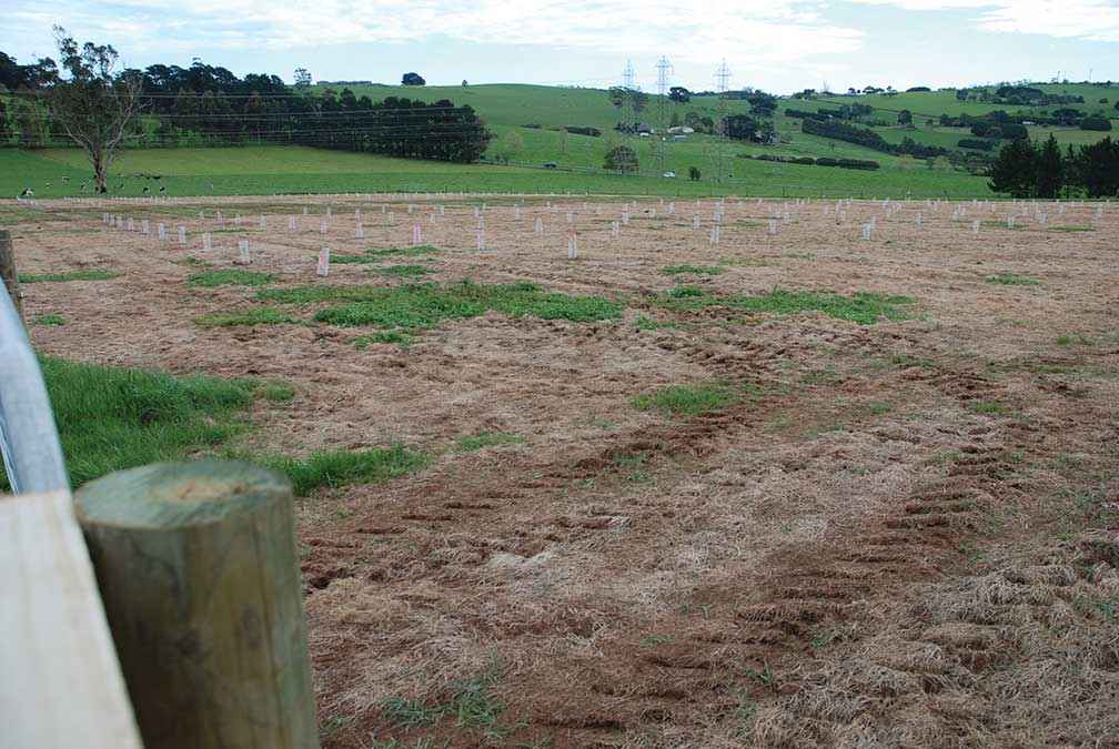 The trial site in October 2014 immediately after tree planting.<br />
<br />
