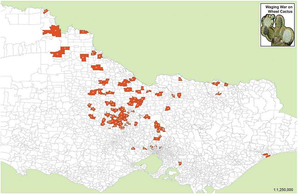 A new map of wheel cactus across Victoria produced by the Tarrangower Cactus Control Group shows the weed is widely distributed.