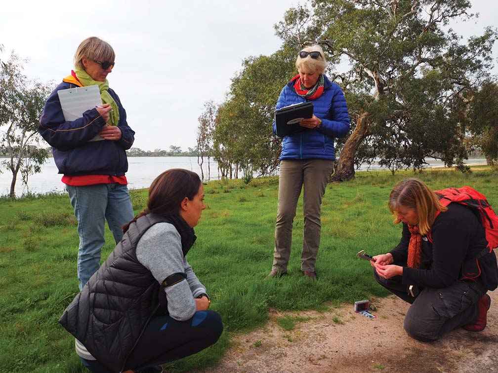 Tori Simpson, Jenny Guthrie and Prue McAllister from the Avon Plains Banyena Landcare Group conduct a site survey at Walkers Lake with Dr Diana Smith from the Dja Dja Wurrung Clans Aboriginal Corporation.