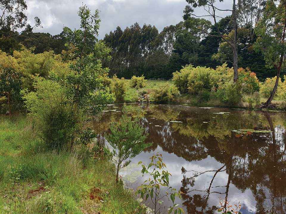 The dam during a regenerative agriculture field trip in 2019.