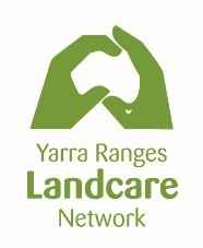 YRLN logo2.jpg