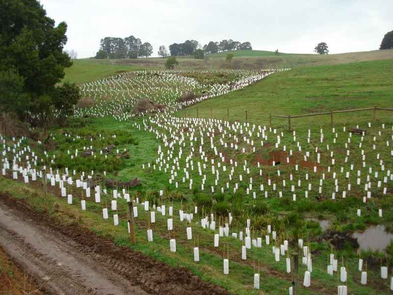 Neerim&District.jpg