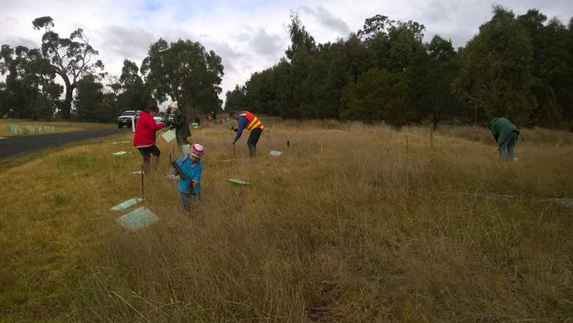 cemetery_planting2017SML.jpg