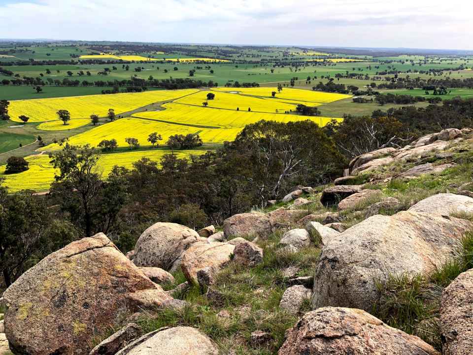 Warby Ranges photo.jpg