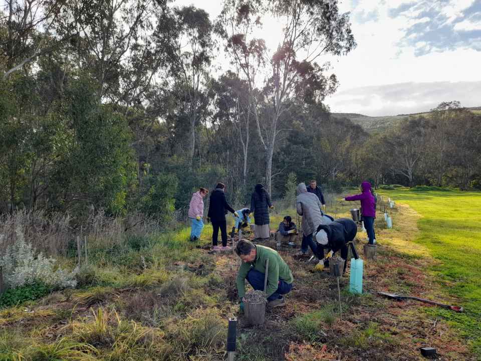 Friends of Maribyrnong Valley.jpg