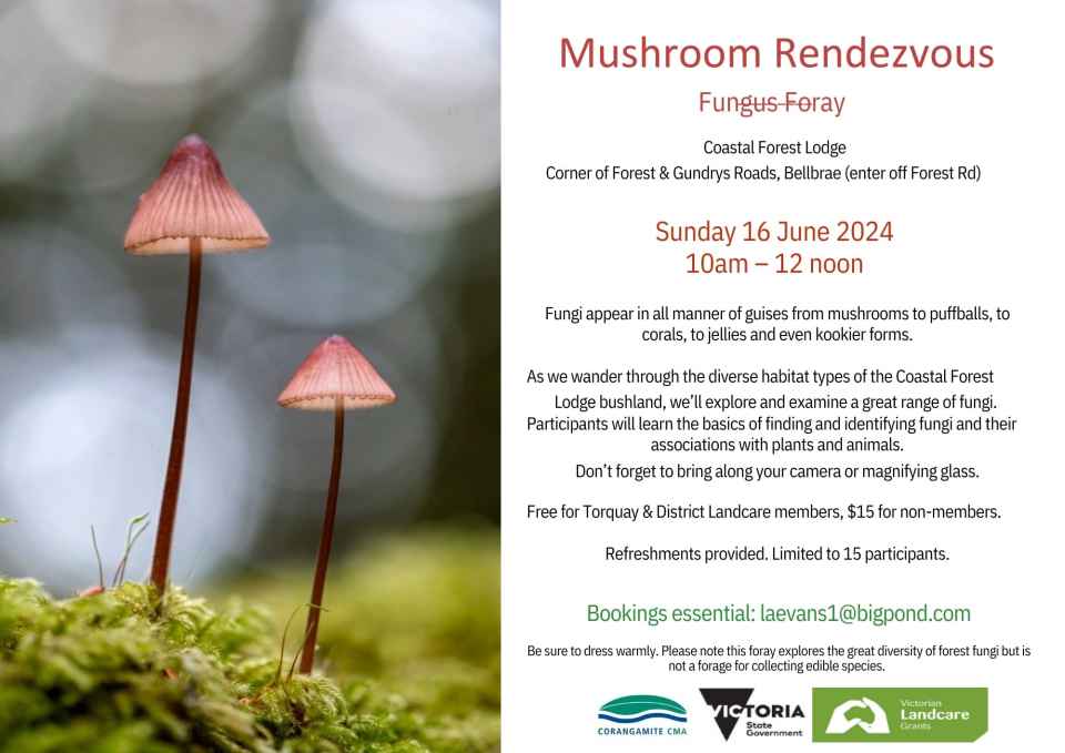 16 Mushroom_Rendezvous_Flyer_2024.pdf.jpg