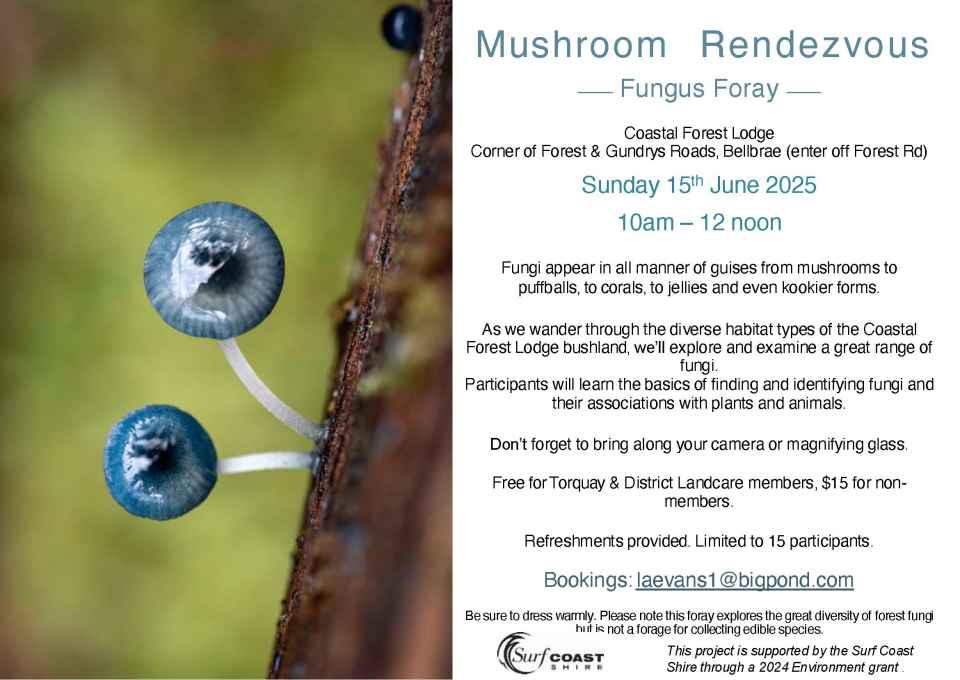 Mushroom_Rendezvous_Flyer_2025.jpg