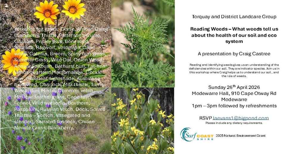 1st Weed workshop .jpg