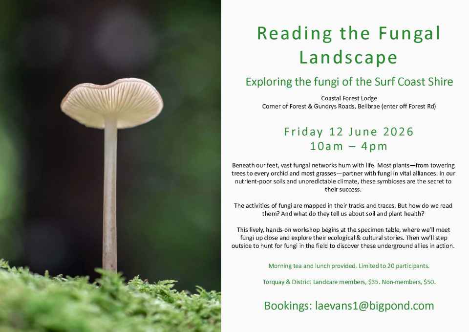 Fungal_Landscape_Flyer_2026.jpg