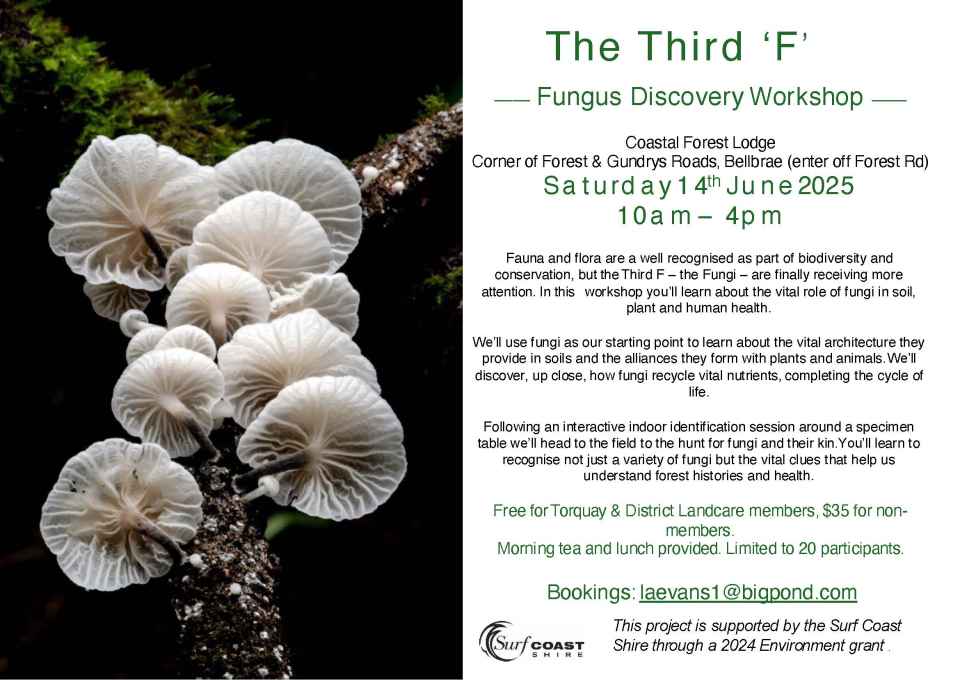 The_3rd_F_Workshop_Flyer_2025.jpg