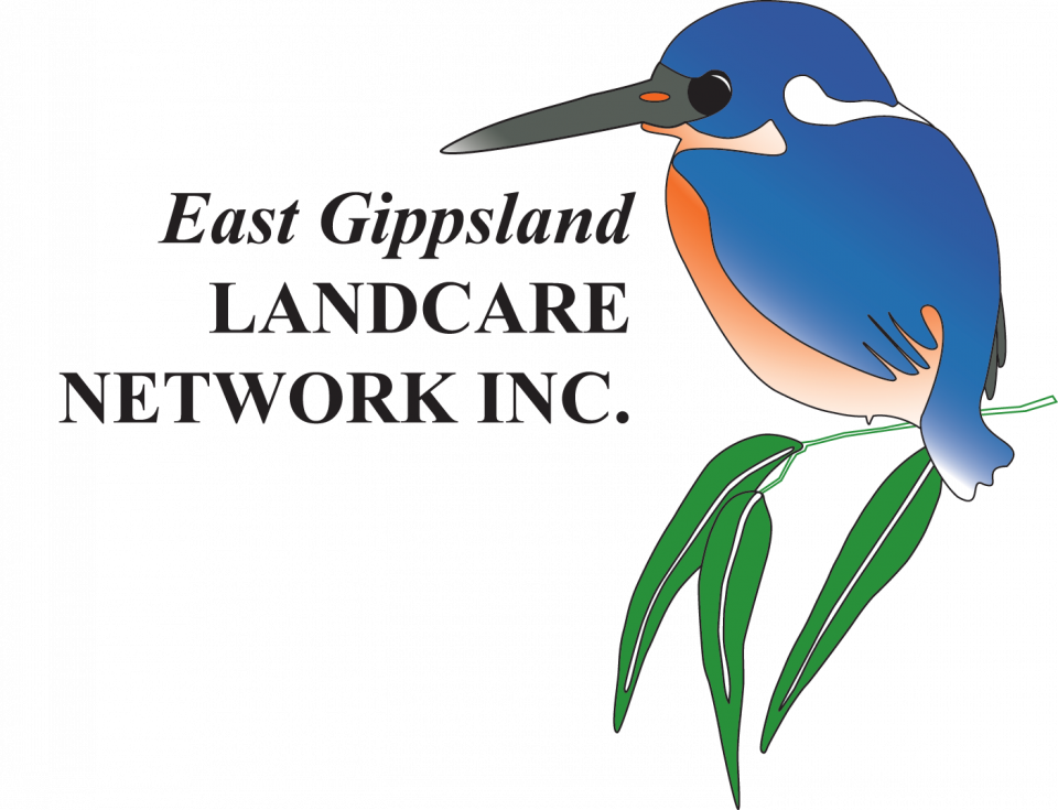LOGO option 5.png