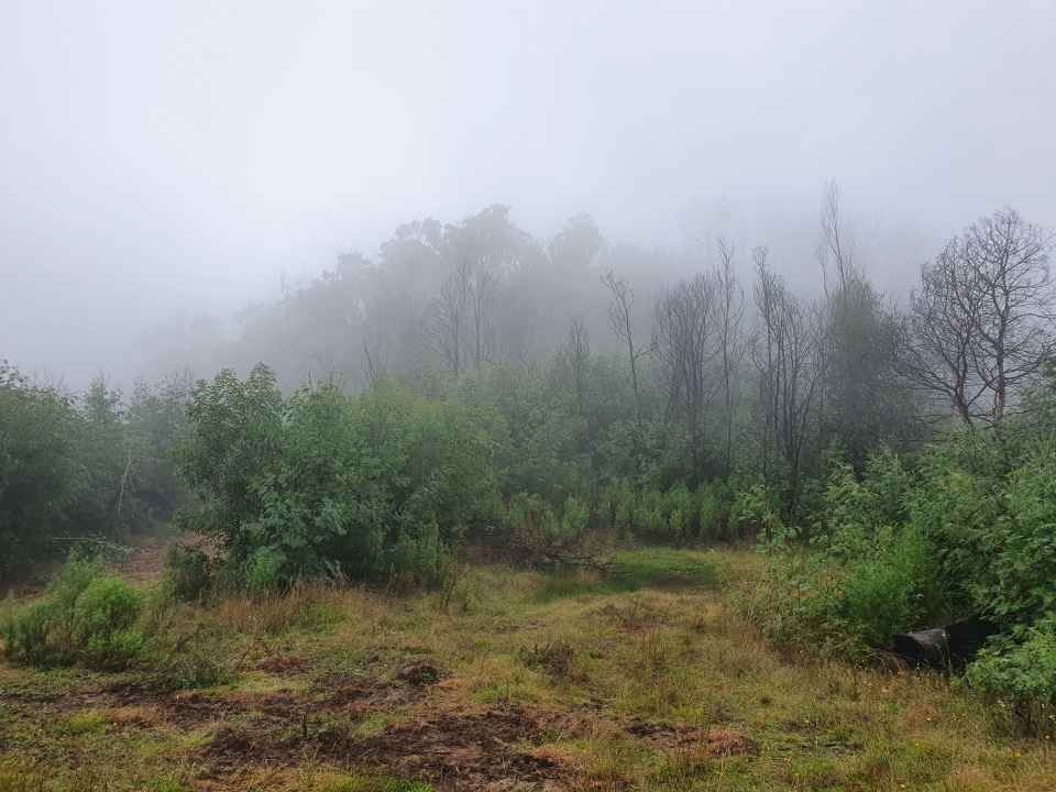 20220318_113918.jpg