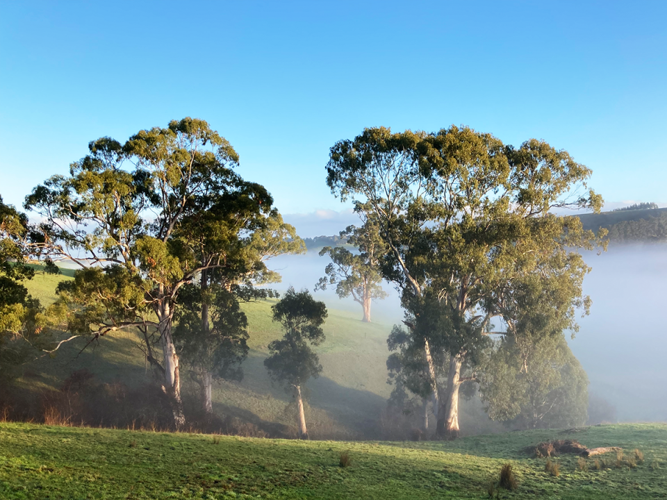 mmnlg-paddock-vic-gateway.png