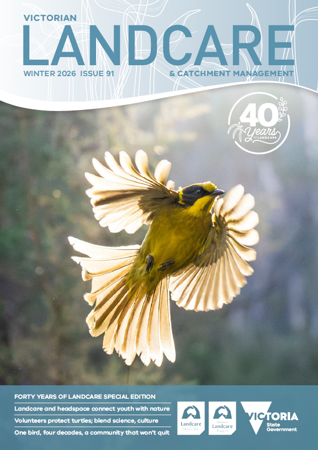 Issue91 Cover