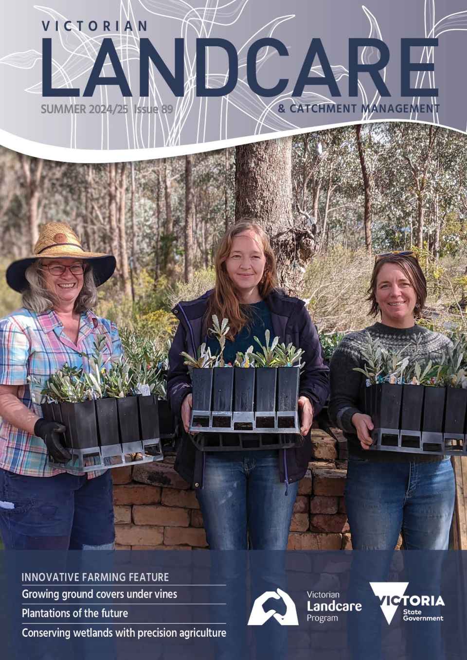 C392 DEECA VLCM 89 cover2